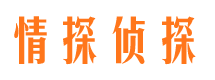 湘乡私家侦探公司